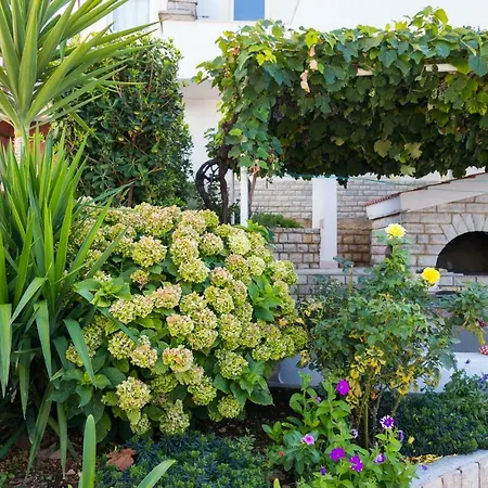Seaview Rose Appartement